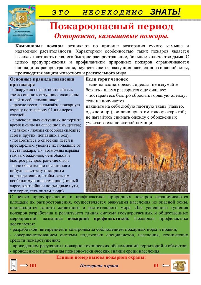 запрещено сжигать сухую траву, камыш, мусор. Нужно устраивать минерализованные полосы